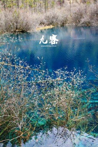 决战！平安京