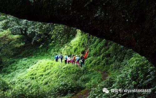 逗小猴开心系列183
