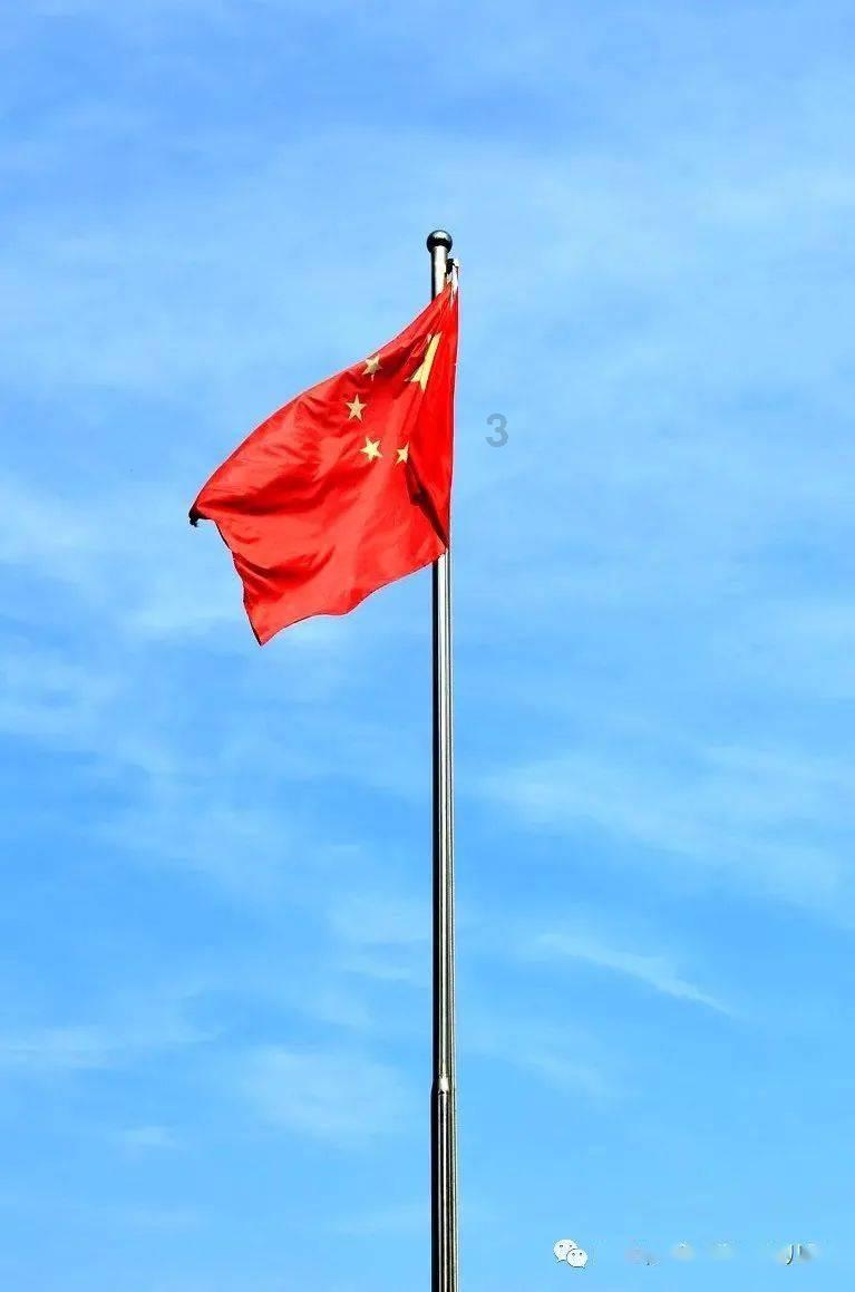 逃离太古森林