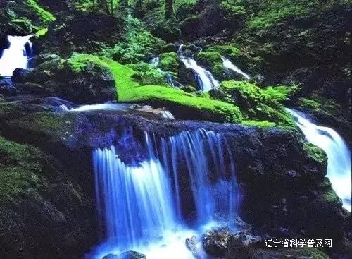 助力客户领先 | 安百拓张家口工厂获得2023年度可持续发展典范奖