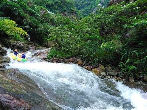 新《公司法》修订的加法、减法和“引法”