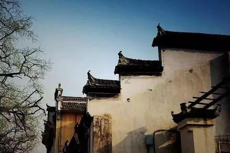 探索蜗牛世界,尽在套餐装修猫腻大揭秘,常见的套餐陷阱是什么?问答平台
