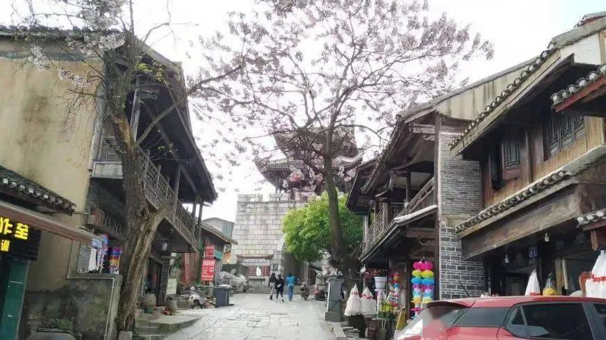 奇妙恐龙世界