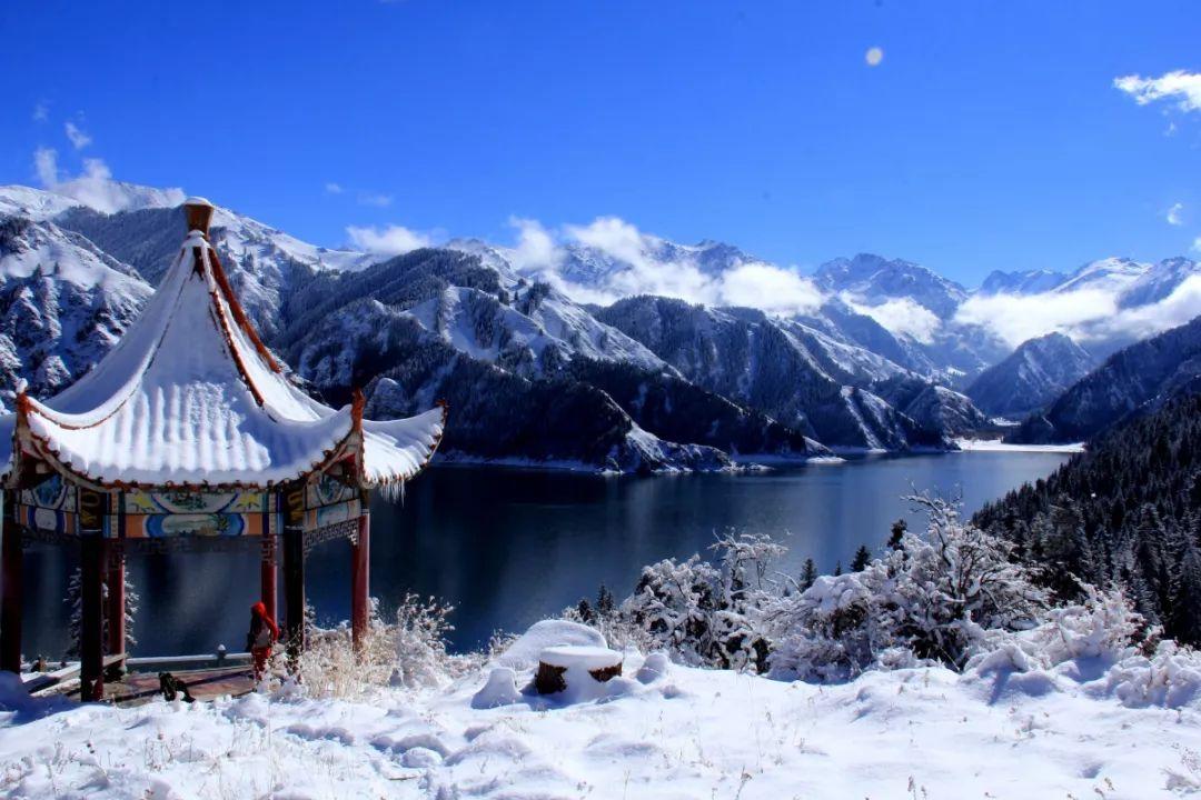 燃烧吧大脑装瓶子游戏